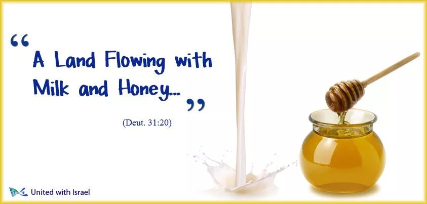 The land of milk and honey идиома. Естественная конвекция примеры. Land flow. Естественная конвекция воздуха. Flow mantra.