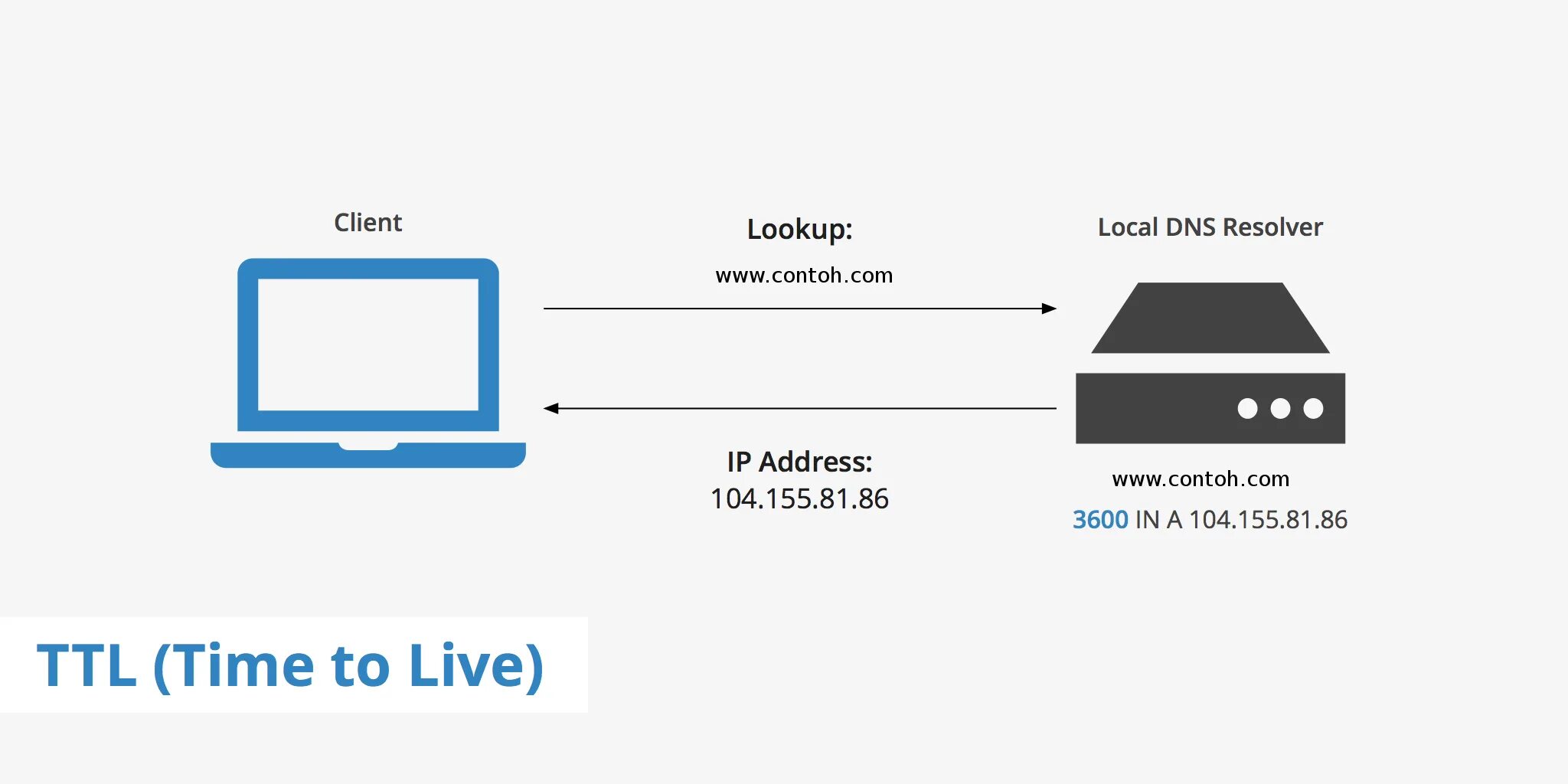 Идентификатор консоли xbox 360. Днс ритейл логотип. Dns зона. Dns сервера на xbox series s. Live dns.