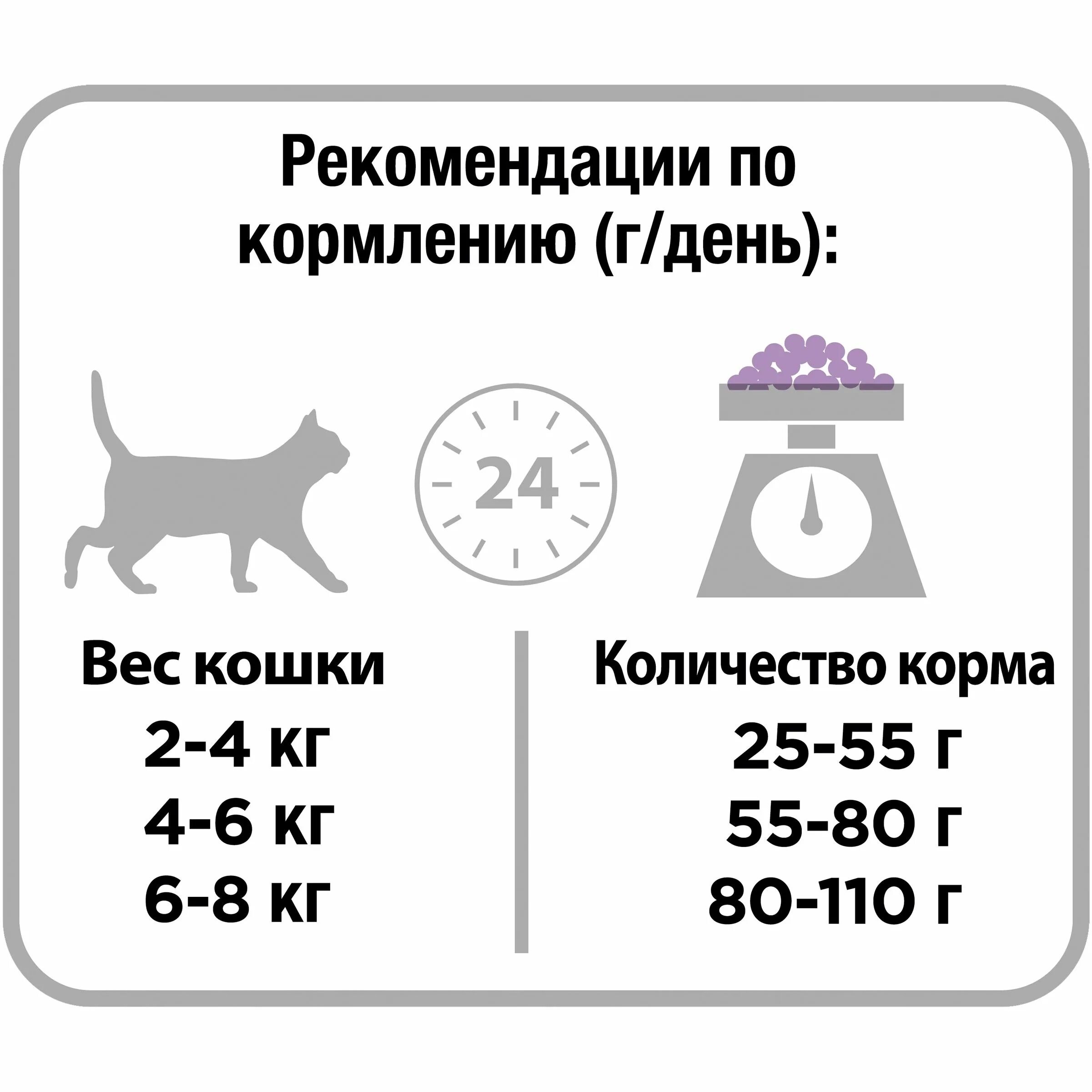 Сколько нужно давать корма котенку в день. Норма сухого корма для кошек. рекомендации по кормлению кошек сухим кормом. норма сухого корма для котят. дозировка сухого корма для кошек.