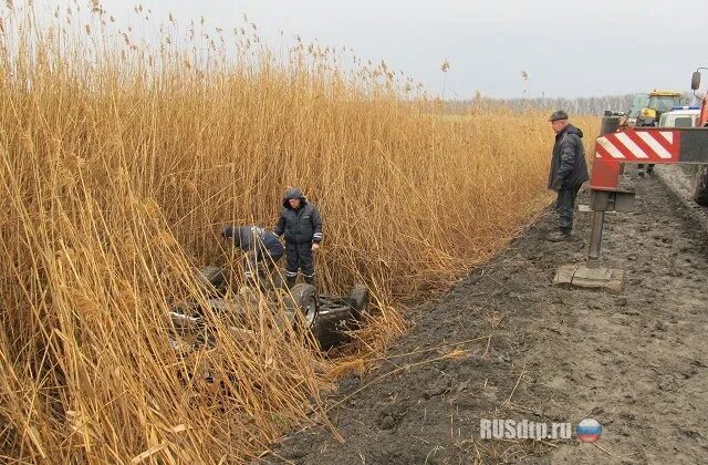 Прогноз погоды калининская краснодарский край на неделю. Новониколаевская краснодарский край. калининская (краснодарский край). старовеличковская станица краснодарский край. станица калининская.