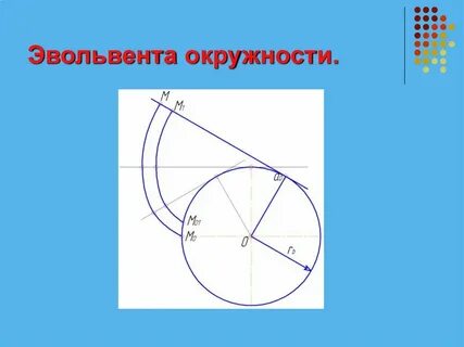 Эвольвента