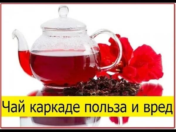 Чай каркаде чем полезен и вреден. Как правильно заваривать каркаде. Каркаде чай завтрак императора. Чай каркаде чем полезен. Каркаде чай полезные.