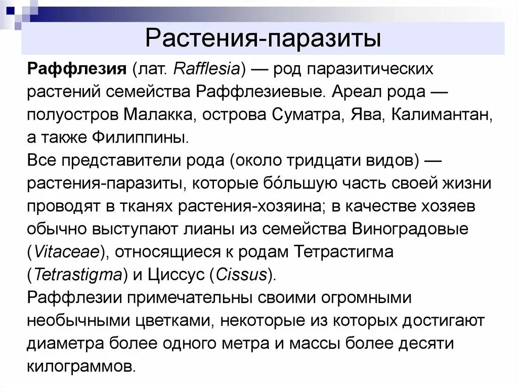 Распределите предложенные растения по группам полупаразиты паразиты. Растения паразиты таблица. Таблица растений паразиты,полупаразиты,хищники. Растения паразиты сообщение. Паразиты и полупаразиты.