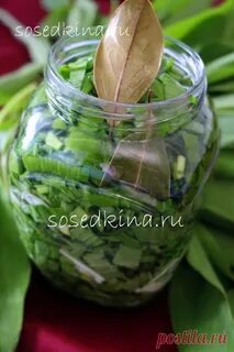 Чеснок лавровый лист