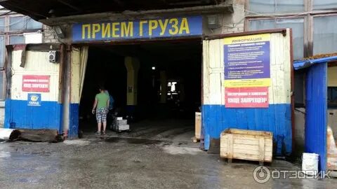 Тк кит нягань