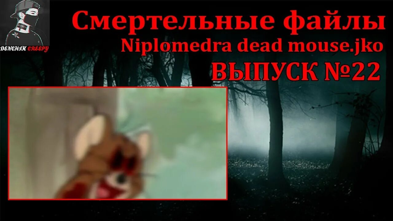Жуткие файлы. Скример смертельный файл. Ужасы албанского интернета. Вайомингский инцидент 2007. Вайомингский инцидент 6996.