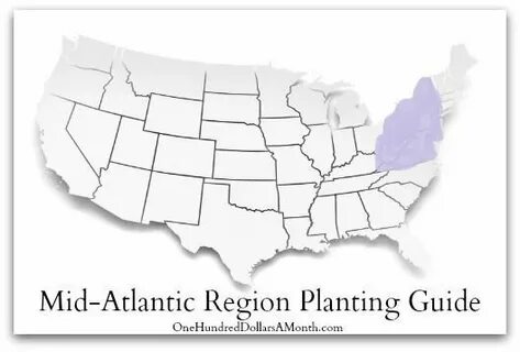 Find region