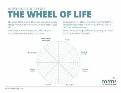 Your wheel