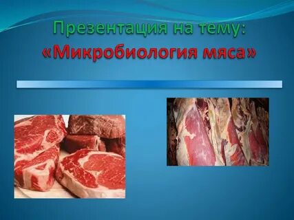 Проект на тему мясо