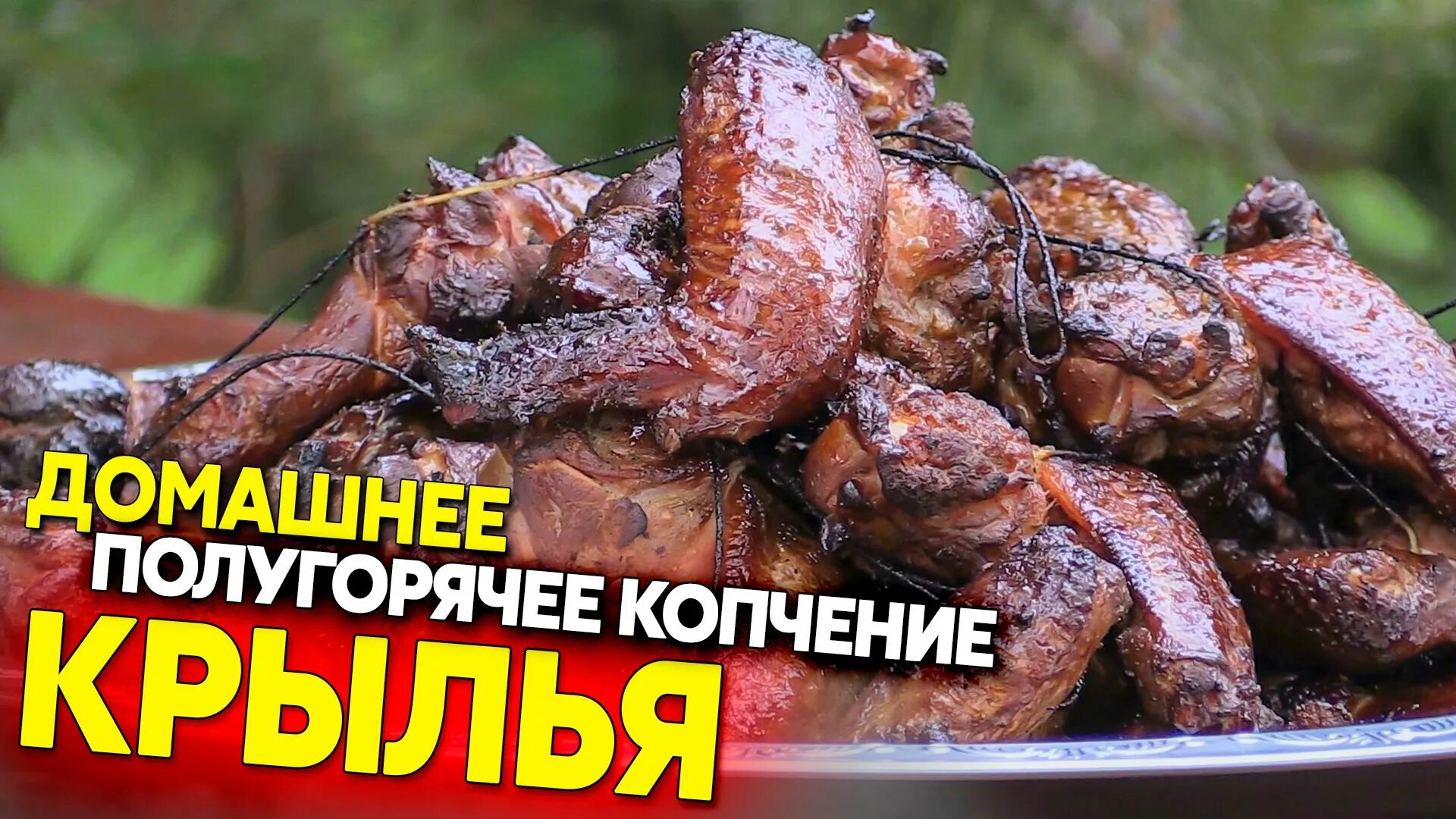 Коптить крылышки в коптильне горячего. Полугорячее копчение. коптильня полугорячего копчения. крылышки копченые в коптильне. горячее копчение крылья коптильня.