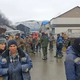 Курилы новости