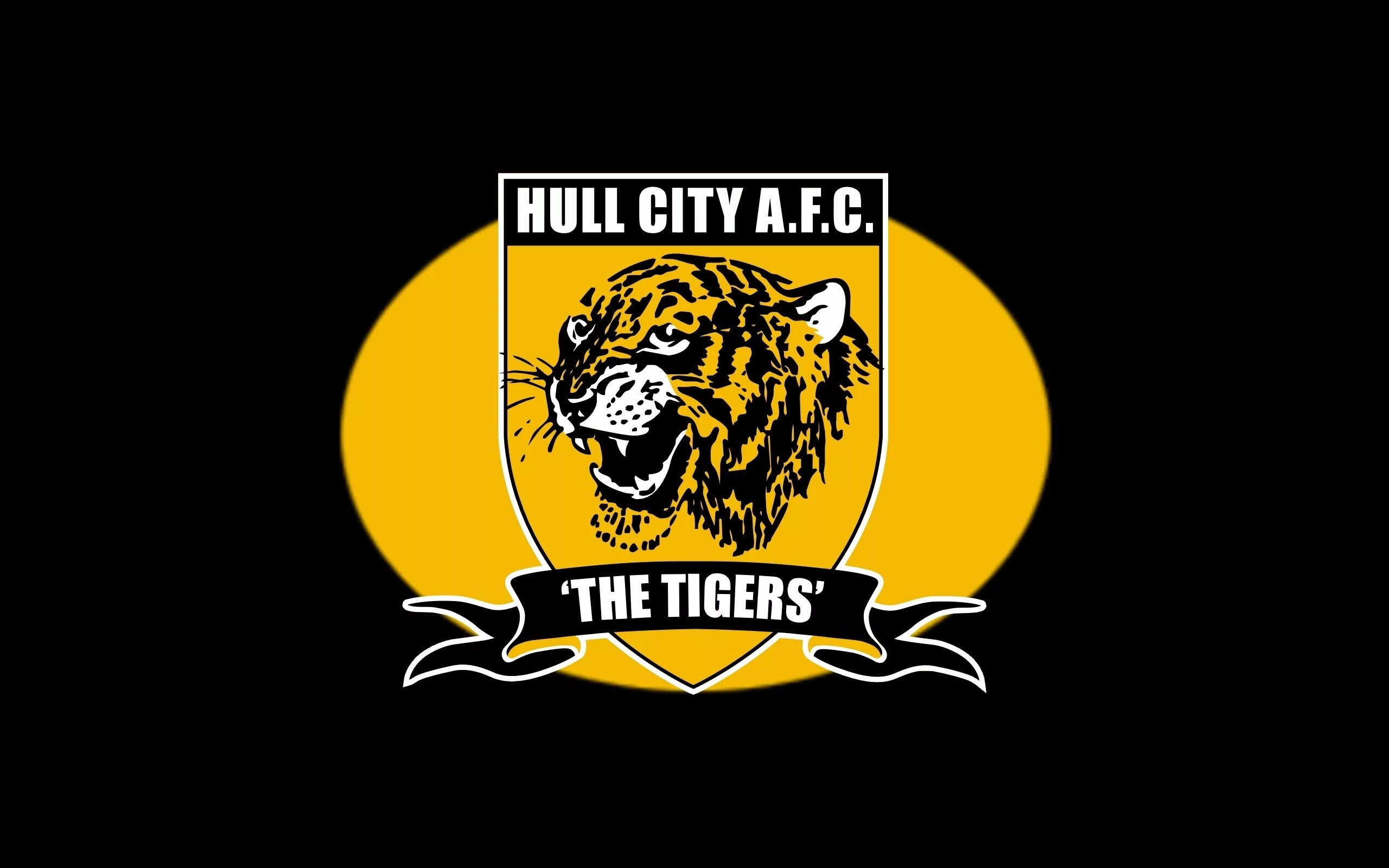 Hull city. Халл Сити. Hull City logo. Эмблема Hull City на черном фоне. Hull City logo Wallpaper.