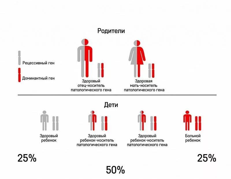 Муковисцидоз Тип наследования. Муковисцидоз аутосомно-рецессивное заболевание. Муковисцидоз Тип наследования заболевания. Муковисцидоз схема наследования. Процент генов от отца и матери