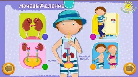 Как устроен ребенок