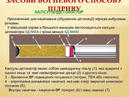Почему именно студенческое движение стало детонатором
