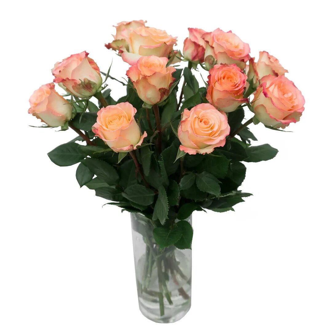 Питомник роз элит. Ритуальные композиции из искусственных цветов. Элит розы интернет магазин. Питомник роз элит роза мариетта. Элит розы интернет магазин.