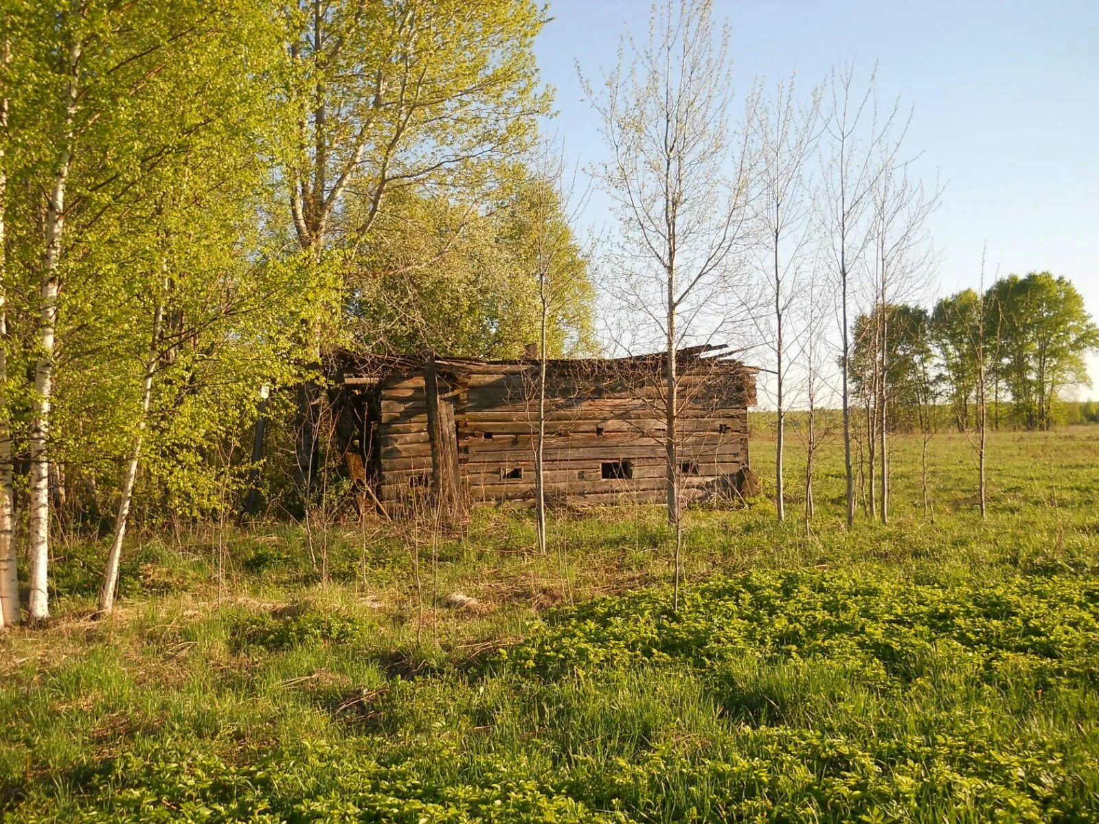 Махнем в деревню