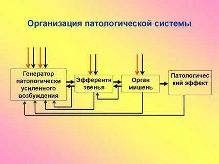 Патофизиология системы