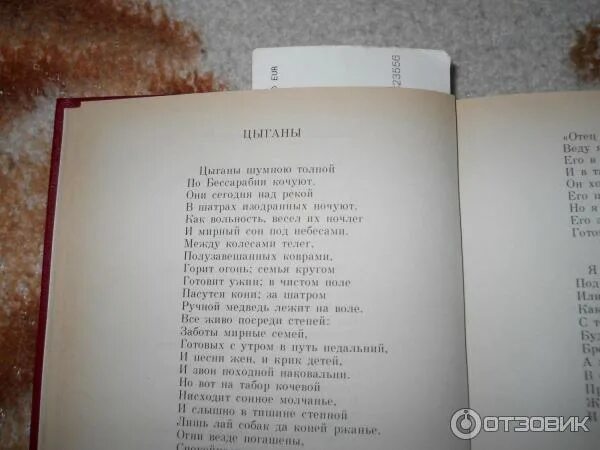 Цыгане пушкин читать краткое содержание. Цыганы пушкин сколько страниц. цыган книга. цыганы сколько страниц. цыганы пушкин книга.