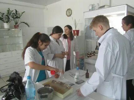 Институт провел исследование