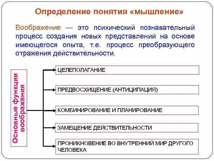 Наука о познавательных процессах