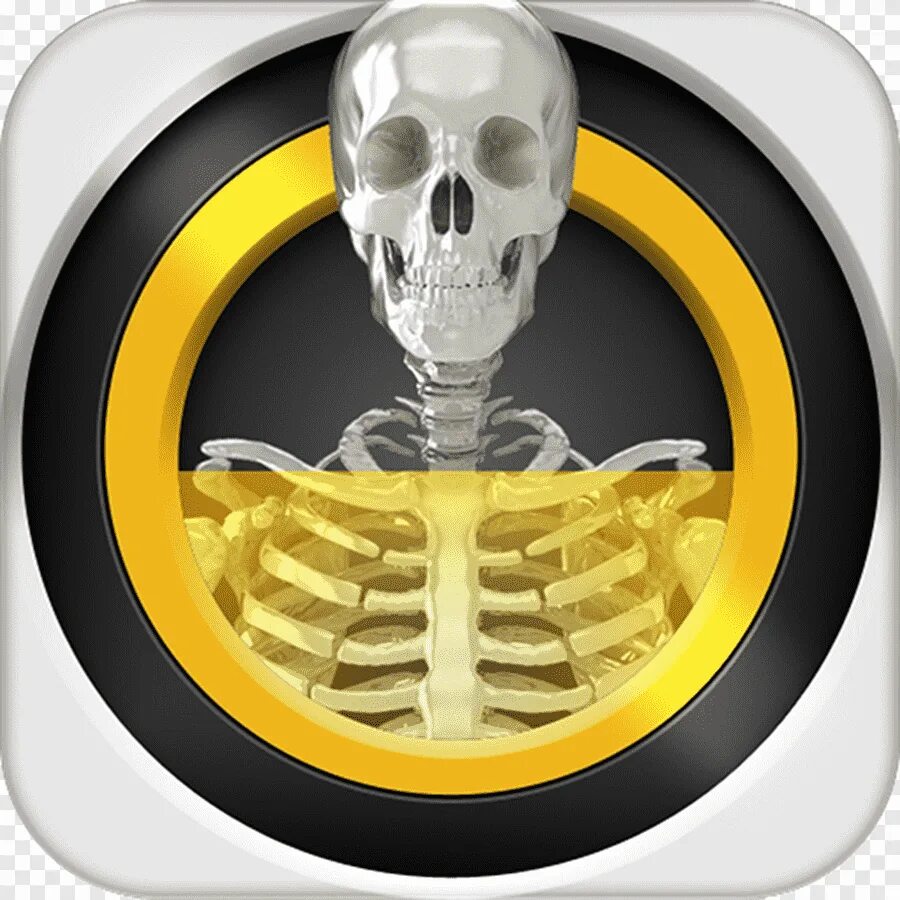 Xray андроид
