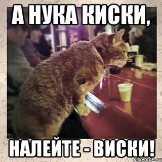 Мем бар