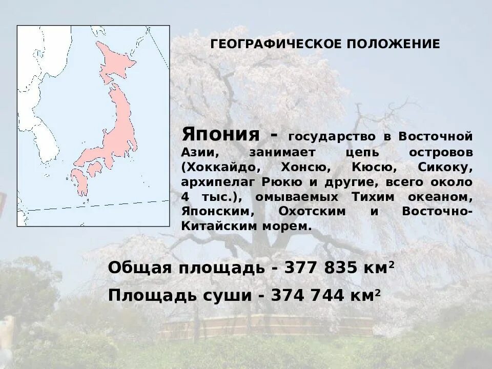 Япония география 8 класс. Географическое положение Японии. Географическое положениеяпони. Географическое положение Японии кратко. Географическое положение Японии для презентации.