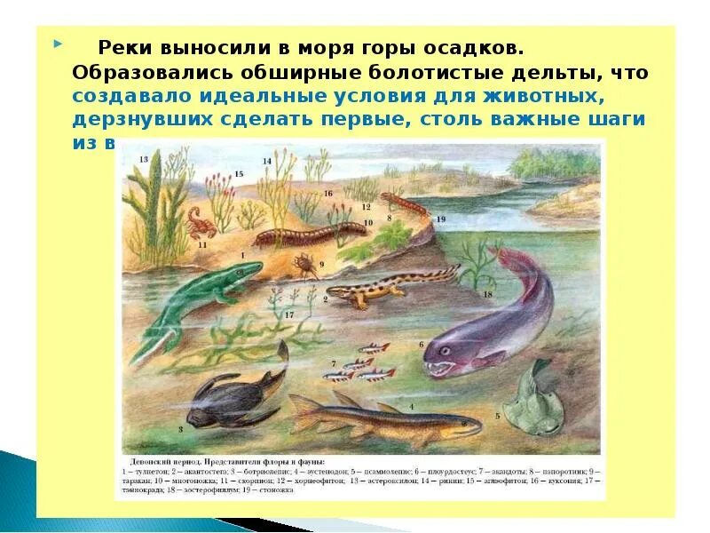 Реки выносят свои воды в. Вынос осадков рекой. Эволюция жизни на земле из воды на сушу. Кто из животных сделал первый шаг из моря на сушу ответ 3 класс. Растения выносит из моря.