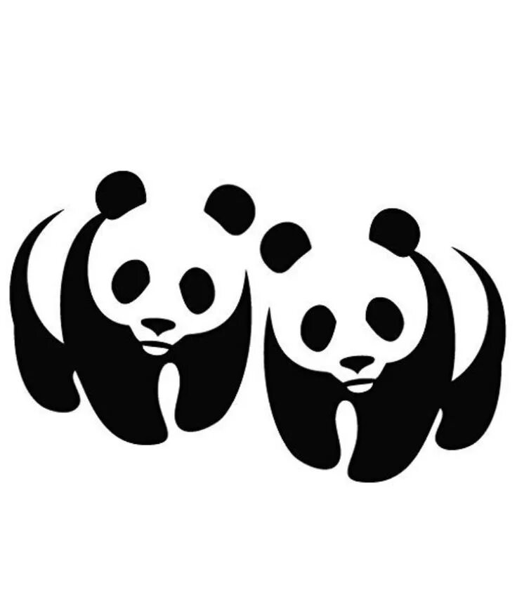 Pandas заголовки