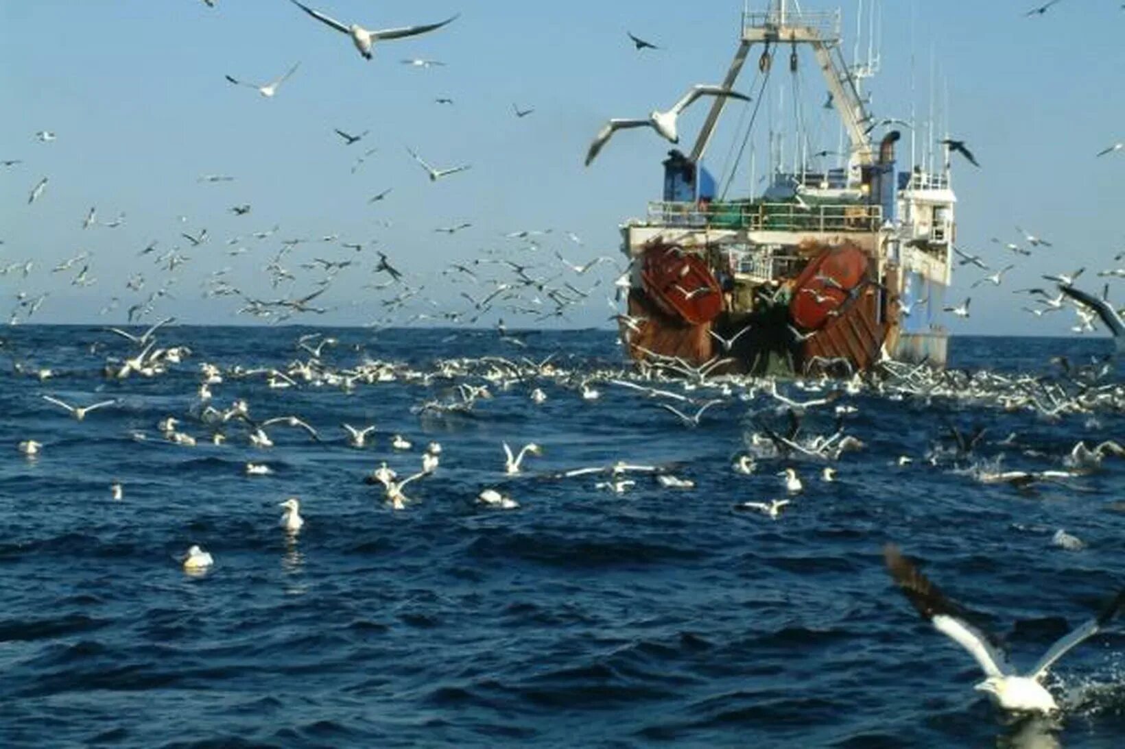 Корабль. Рыболовецкое судно в море. Море, Чайки. Чайки, корабль и море. Моряк рыбак море