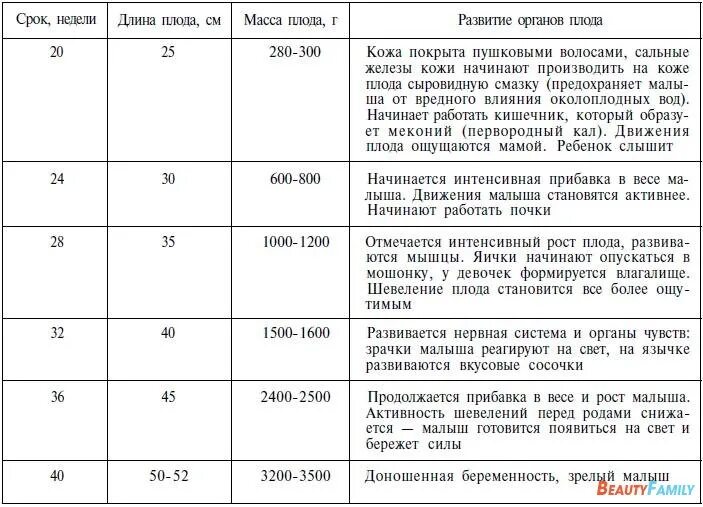 Таблица внутриутробное развитие плода. Периоды внутриутробного развития таблица. Периоды внутриутробного развития плода таблица. Периоды развития органов плода по неделям.