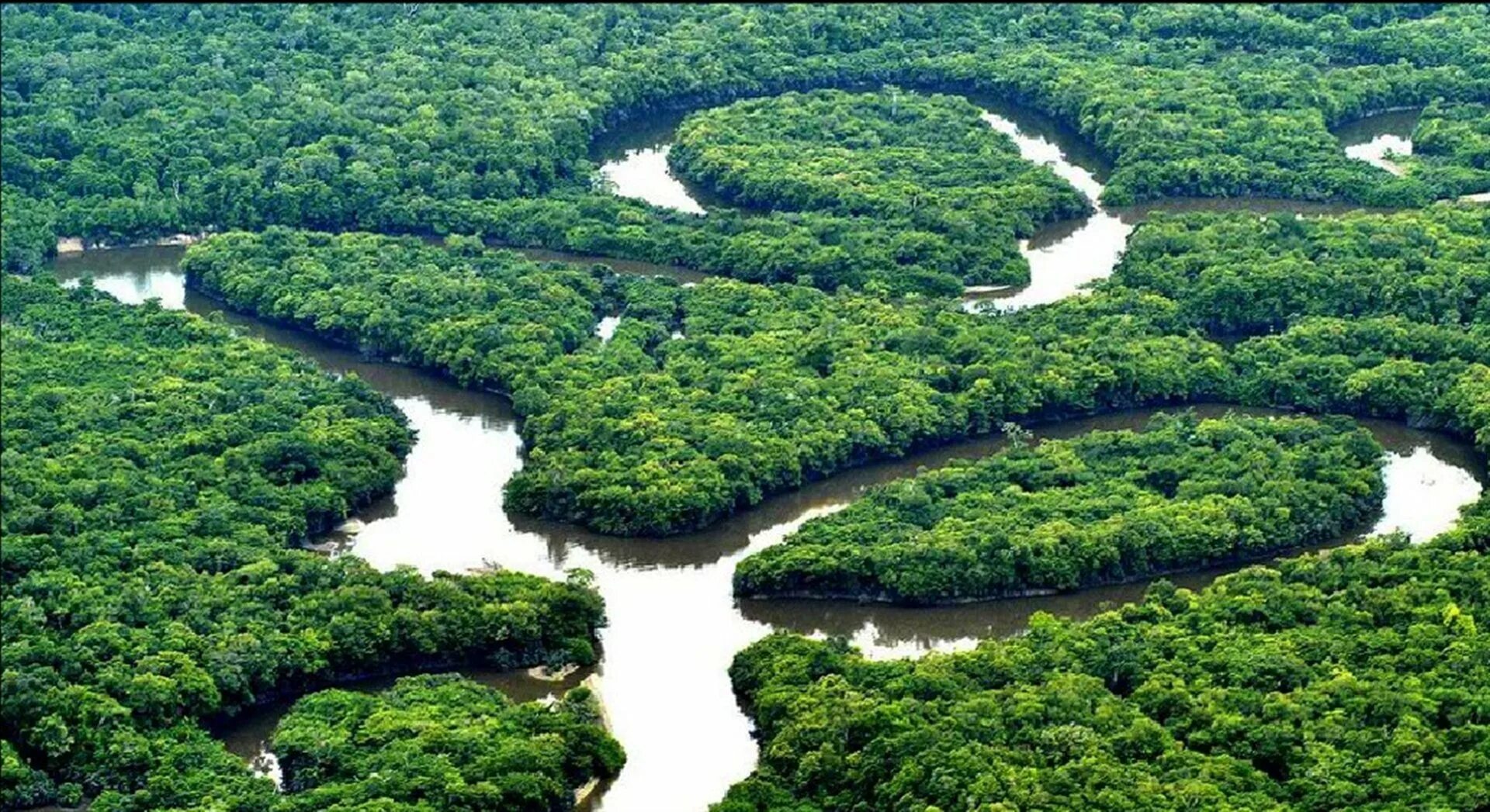 Реки страны бразилия. Река Амазонка в Бразилии. Амазонская Сельва Бразилии. Амазонская Сельва Южной Америки. Южная Америка река Амазонка.