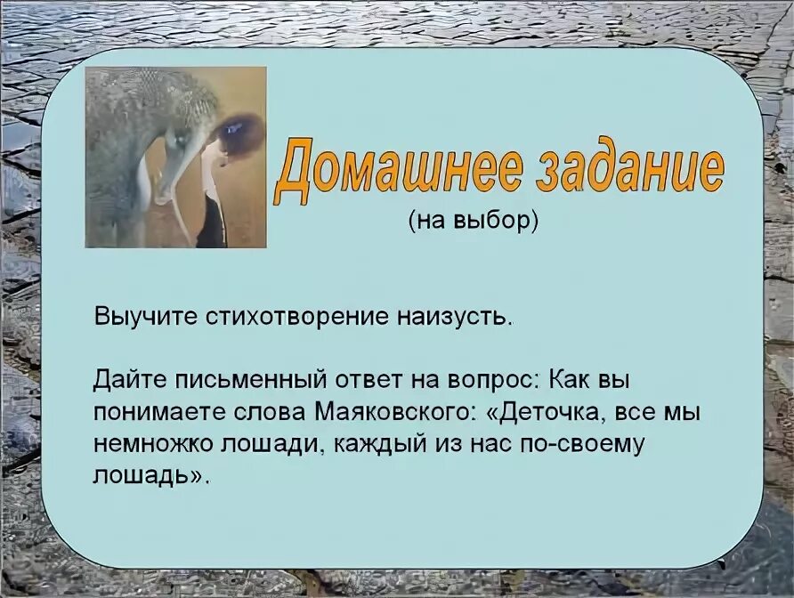 Хорошее отношение к лошадям читать кратко. Хорошее отношение к лошадям читать кратко