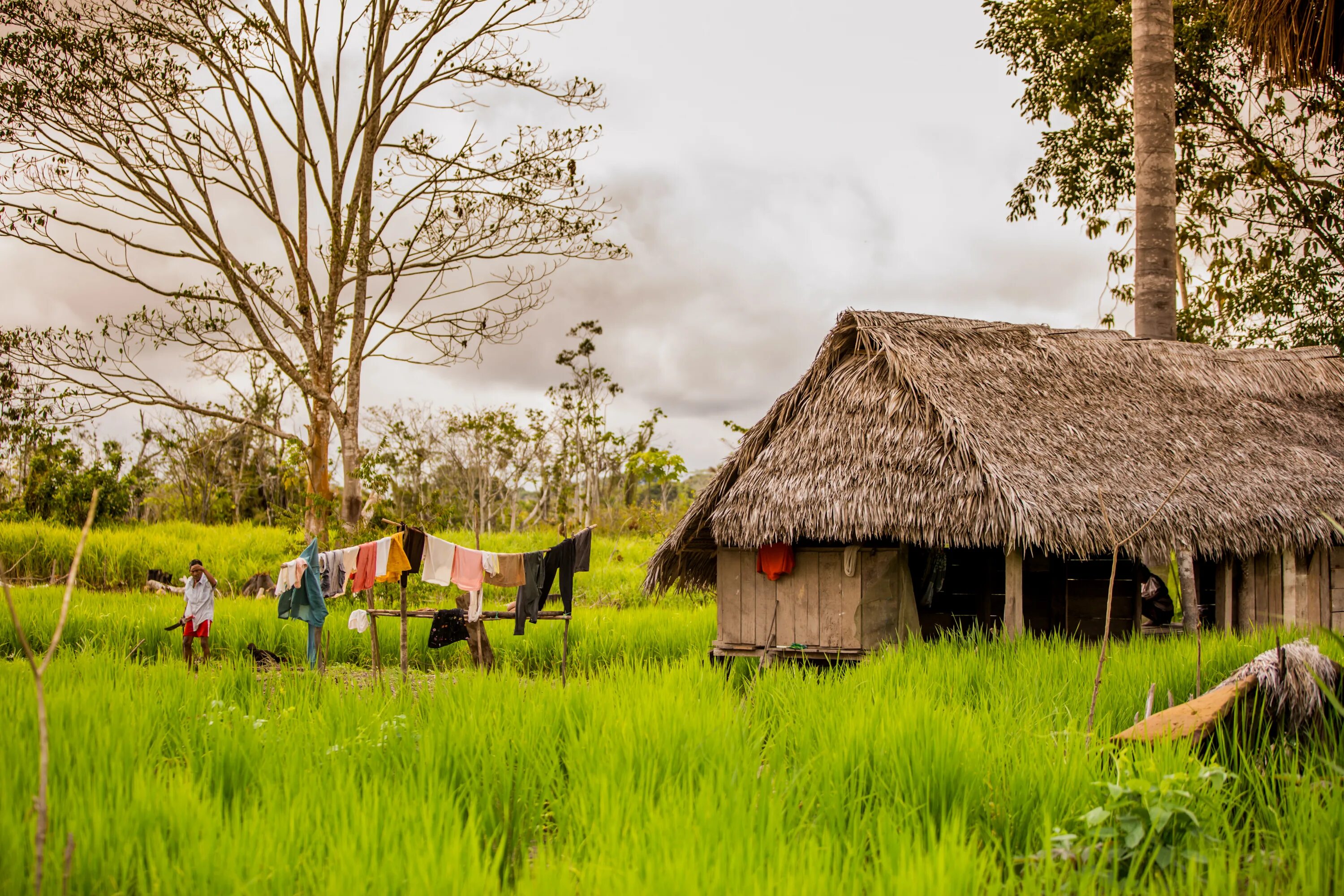 Local village. Деревня амазонок. My Village Life. Village Life Love. Amazon River Village.