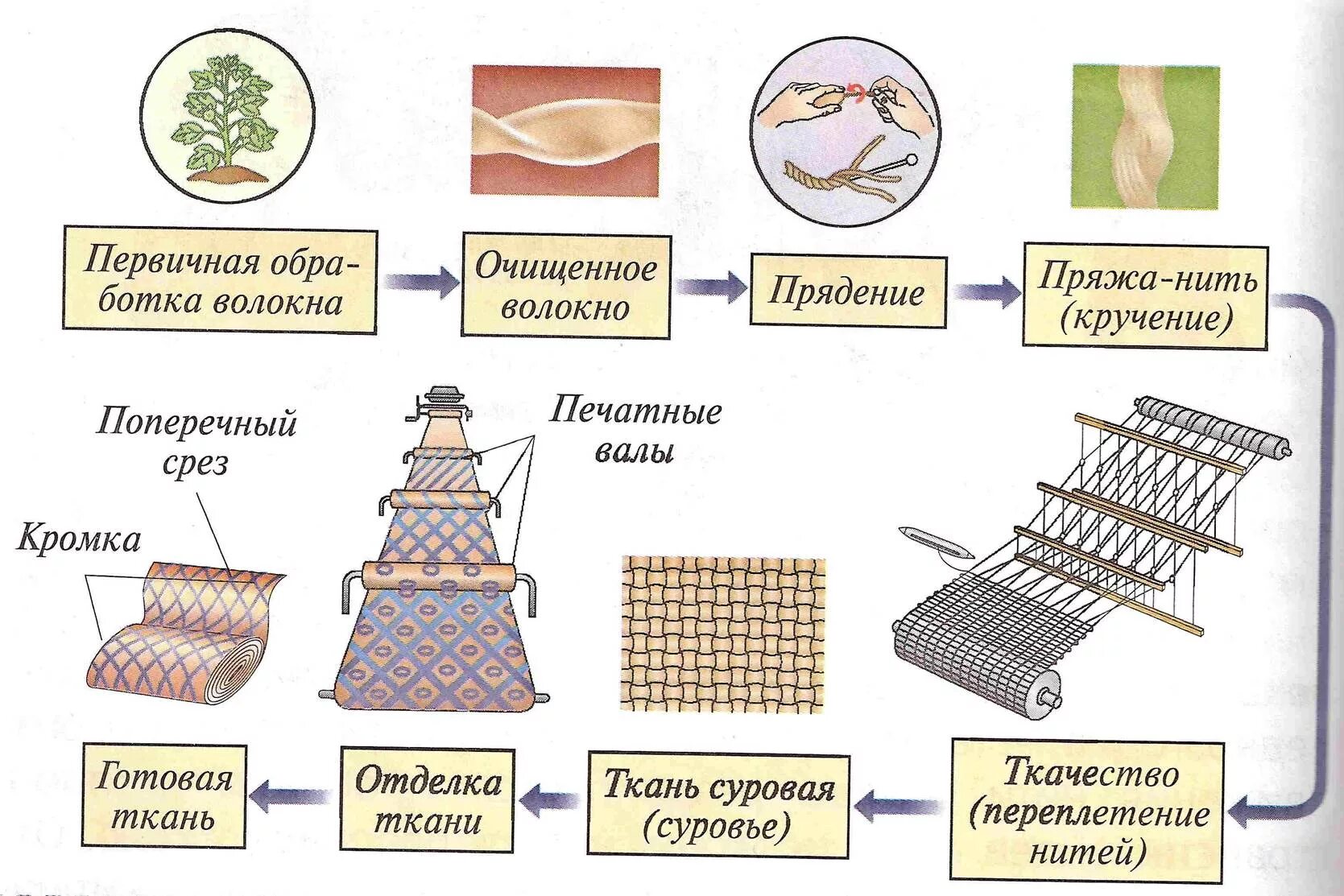 Схема производства хлопчатобумажной ткани. Схема процесса изготовления ткани. Схема этапов производства хлопчатобумажных тканей. Современные технологии производства тканей из натуральных волокон. Для изготовления ткани используют