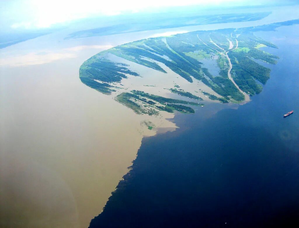 Река россии впадающая в два моря. Рио Негро река Бразилия. Южная Америка река Рио Негро. Амазонка и Рио Негро. Река Солимойнс Бразилия.