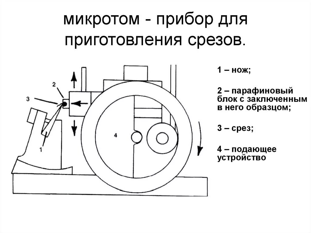 Приготовление срезов. Санный микротом МС-2 схема. Схема микротома прибор для приготовления срезов. Устройство санного микротома. Микротомы для парафиновых срезов МПС-2.