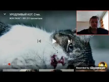 Уродливый кот стих