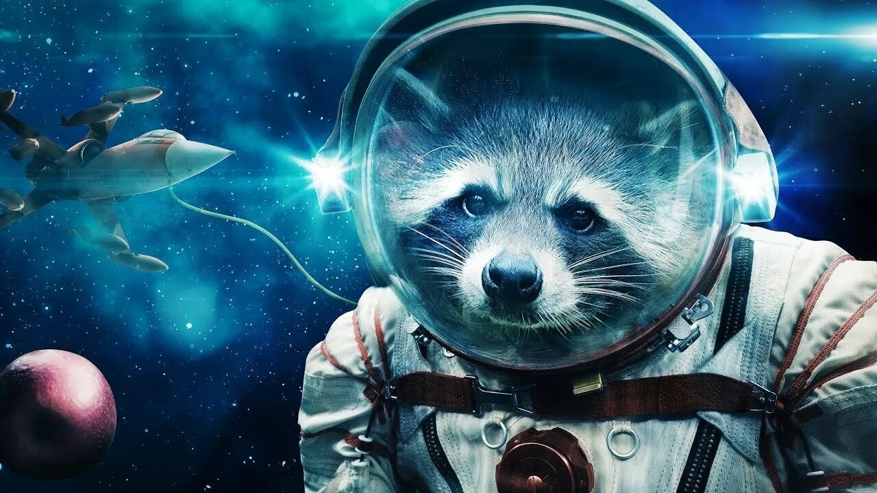 Енот в космосе. Енот космонавт. Енот в скафандре. Животные в скафандре