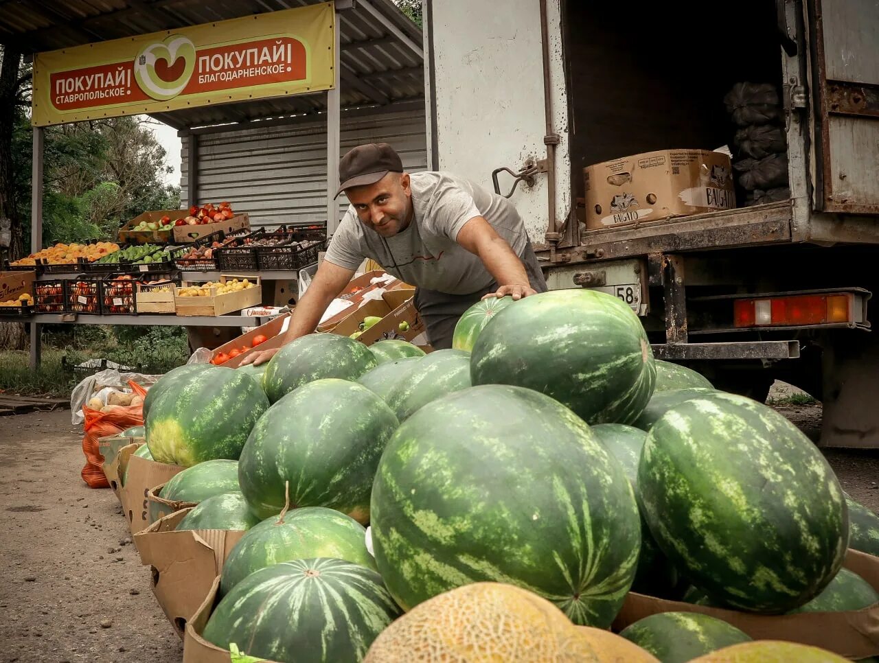 Арбузами продается. Арбузы продают. торговля арбузами. арбуз на бахче. арбузы на рынке.