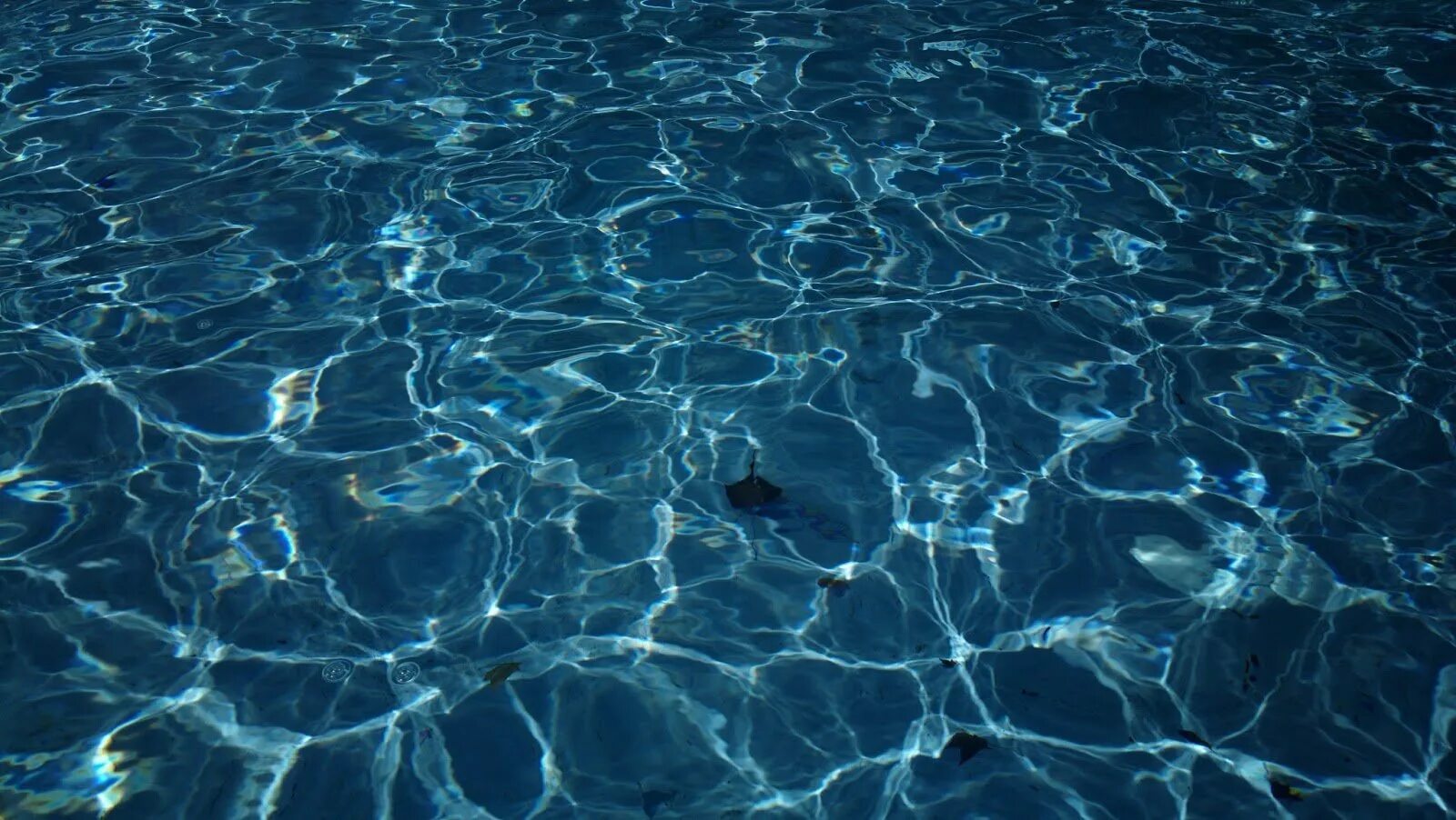 Пресная вода в бассейне. Эффект &quot;воды&quot;. текстура воды. блики на воде. вода фон.