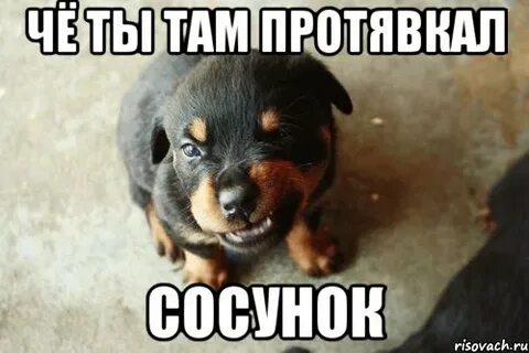 Эй малая ты че