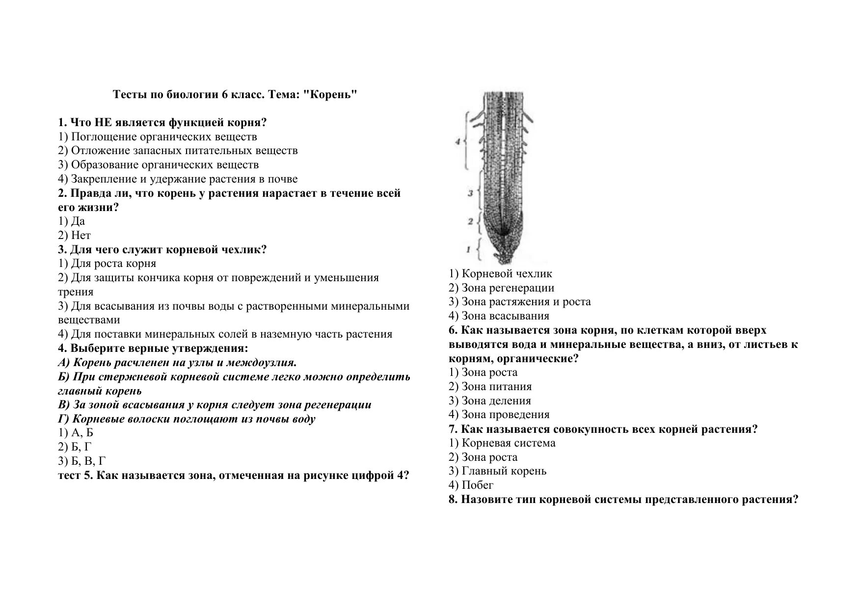 Строение корня тест. Внешнее строение корня. Контрольная работа корни. Тесты по корнеплодам.