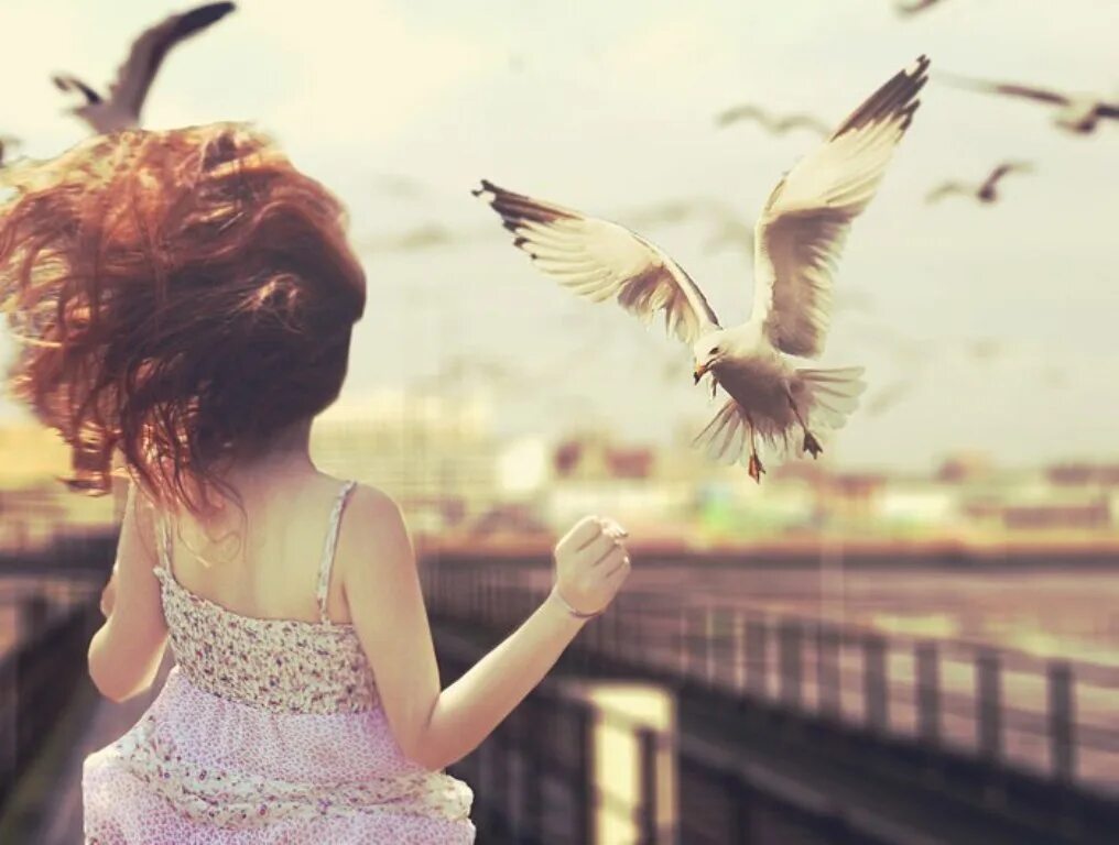 Птица спиной вперед. Девочка с птичкой. Девушка выпускает птицу. Девочка и маленькая птичка. Девушка отпускает птицу.