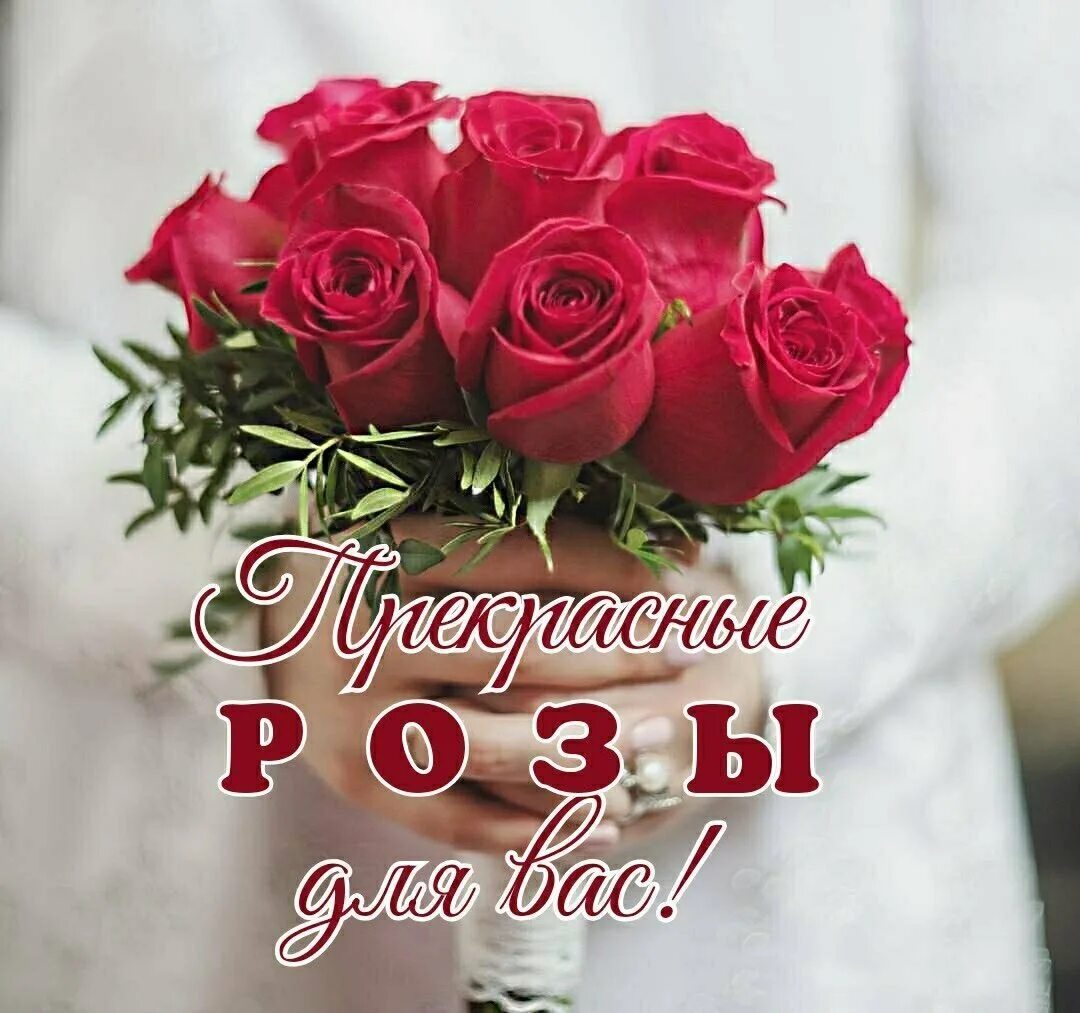 Цветы без повода цитаты. Я признаюсь тебе в любви. Мужчина дарит цветы женщине. Открытки без повода. Песня любви без повода.