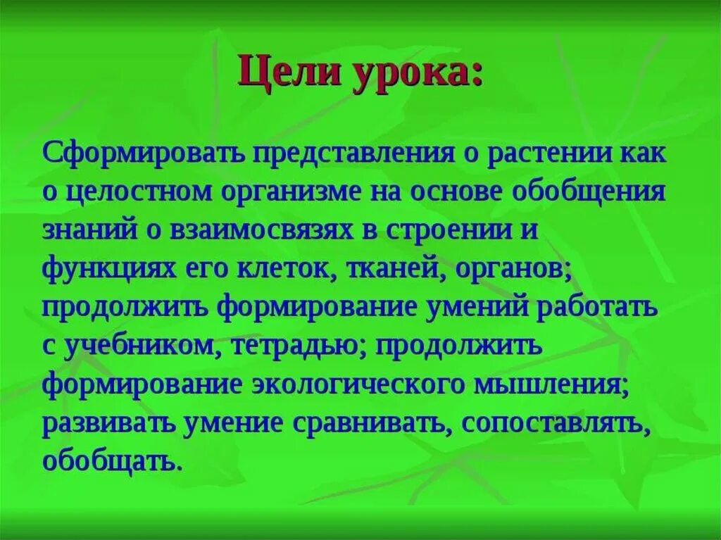 Растительный организм примеры. Особенности организма растений. Растительный организм. Растение целостный организм. Презентации растительный организм и его.