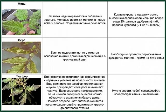 Как понять лист