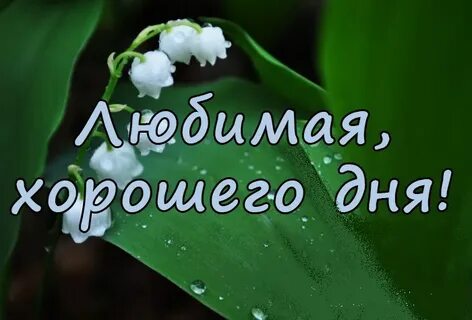 Картинки с добрым женя