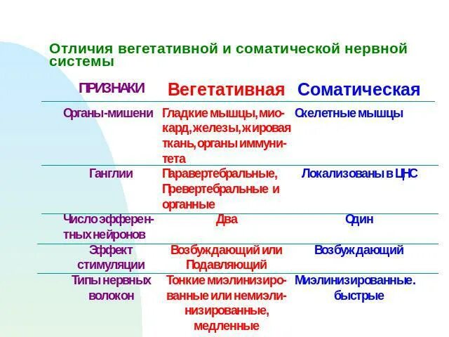 Соматическая нервная выполняет функции. Отличия соматической и вегетативной нервной системы таблица. соматическая и вегетативная нервная система отличия. отличия вегетативной нервной системы от соматической. отличия внс от соматической нервной системы.